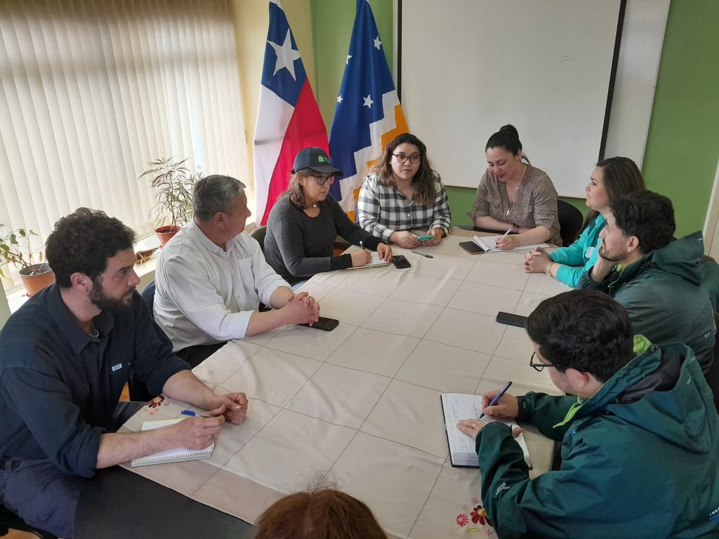 WhatsApp Image 2024-11-14 at 11 WhatsApp Image 2024-11-14 at 11