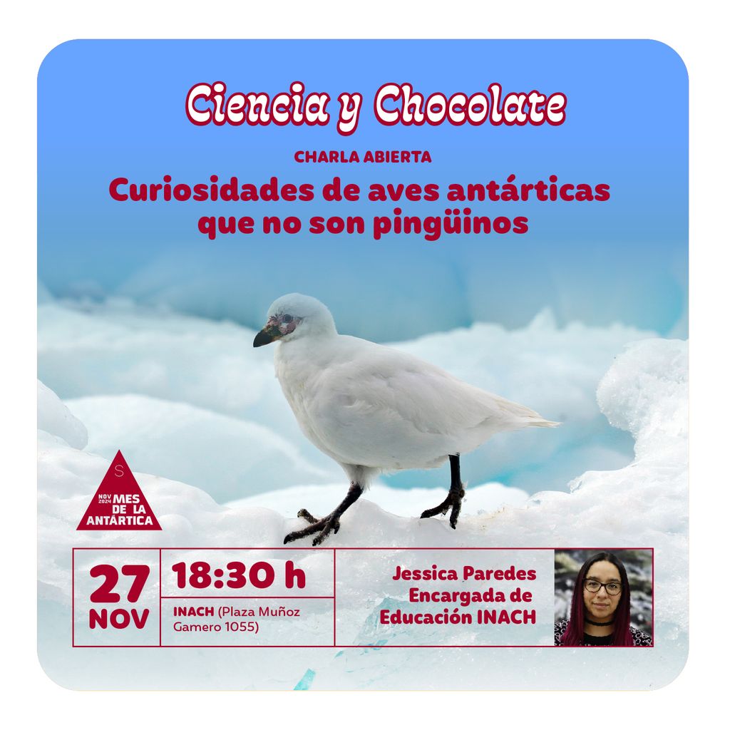 cienciaychocolate-nov cienciaychocolate-nov