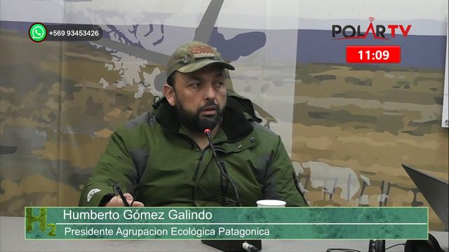 humbertogomez