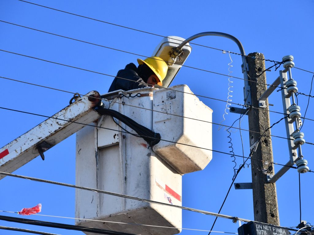 LUMINARIAS EL PINGUINO