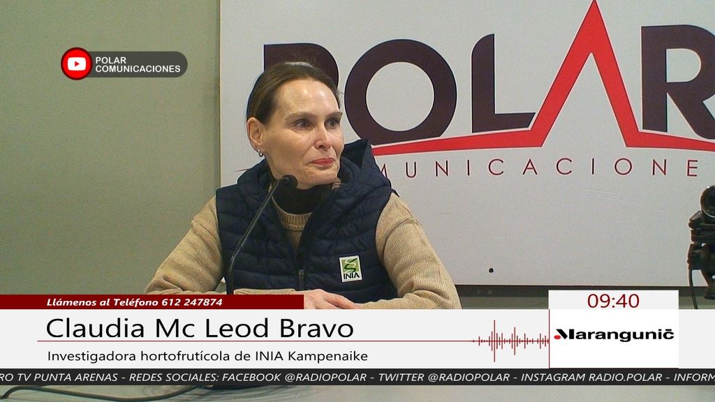 Imagen de WhatsApp 2024-06-25 a las 09 Imagen de WhatsApp 2024-06-25 a las 09