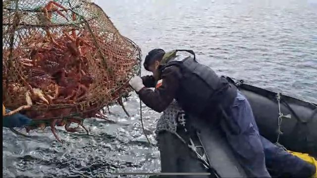 centollasernapesca centollasernapesca