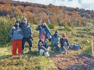 reforestacion reforestacion