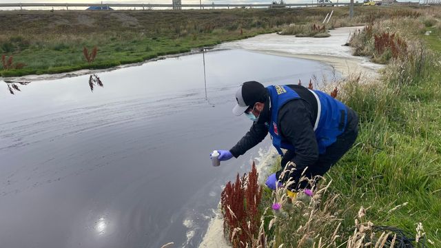 mopaguadga mopaguadga