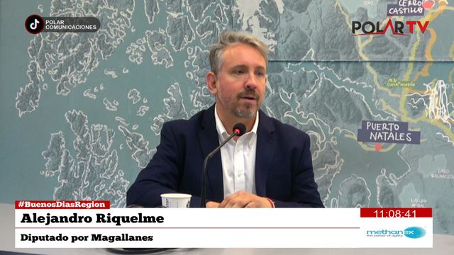 diputadoriquelme diputadoriquelme