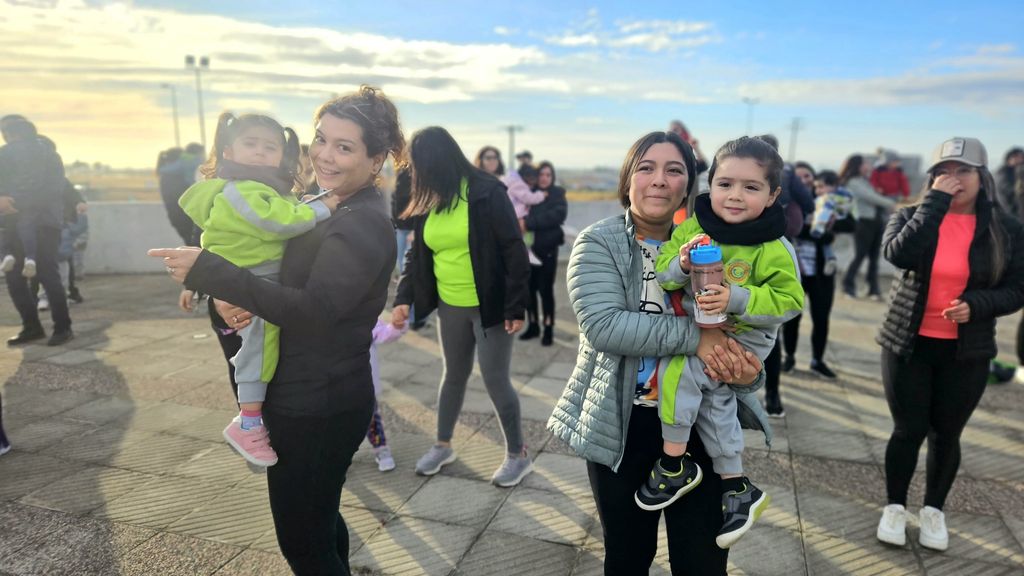 jardingirasol jardingirasol