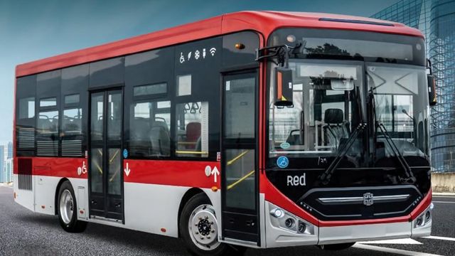 buses natales buses natales