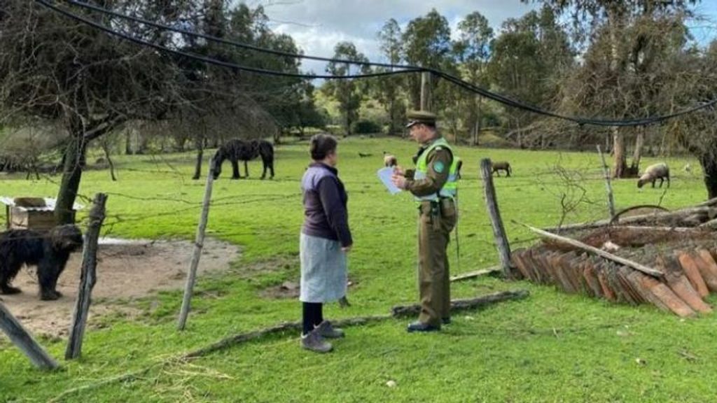 seguridad rural