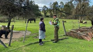 seguridad rural