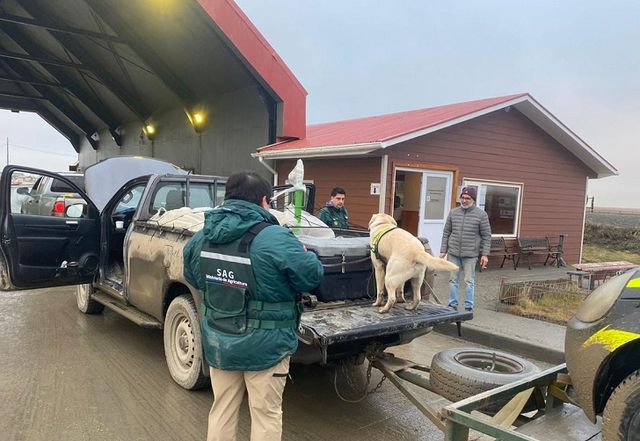 IMG-20240816-WA0026 IMG-20240816-WA0026