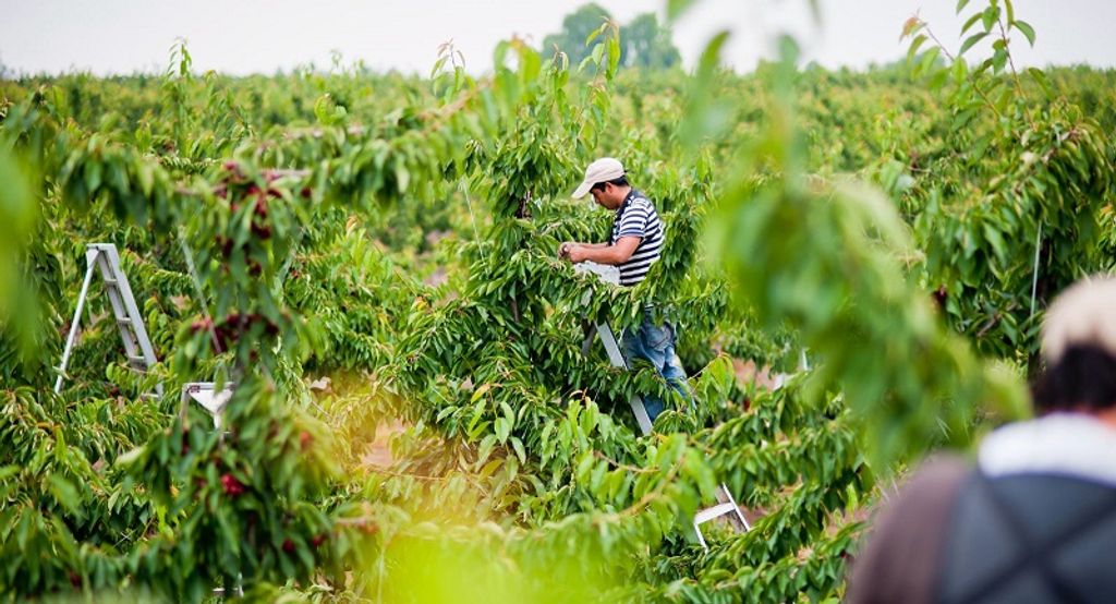 foto-info-comercial foto-info-comercial