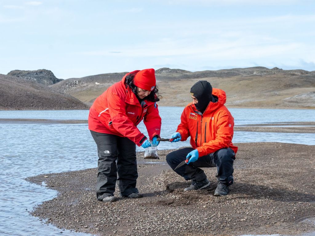 inachhongosislas inachhongosislas