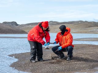 inachhongosislas inachhongosislas