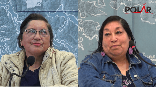 consejodesarrollopuq consejodesarrollopuq