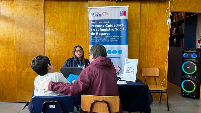 gerbarrancoamarillo gerbarrancoamarillo