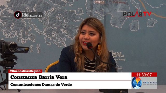 damasdeverdepuq damasdeverdepuq