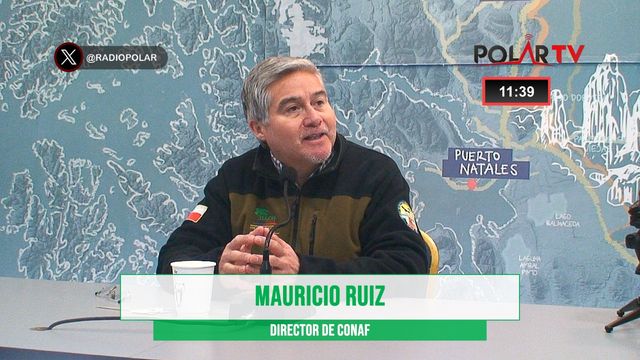 directorconaf