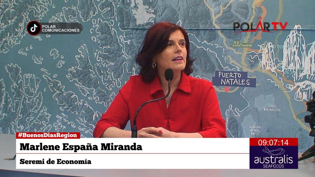 seremieconomiamagallanes seremieconomiamagallanes