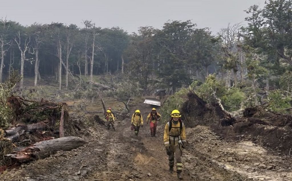brigadistas en contención de incendio brigadistas en contención de incendio