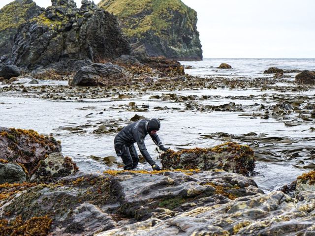 islasdiegoramirez islasdiegoramirez