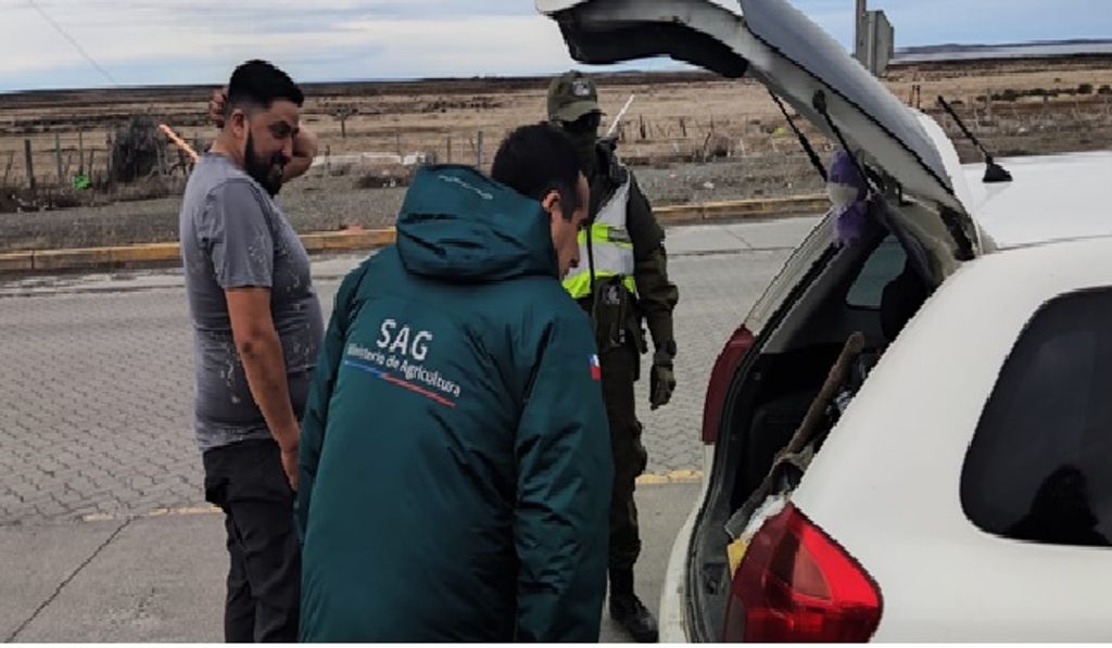 Sin título Sin título