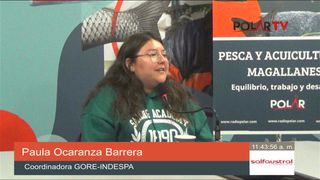 goreindespa goreindespa