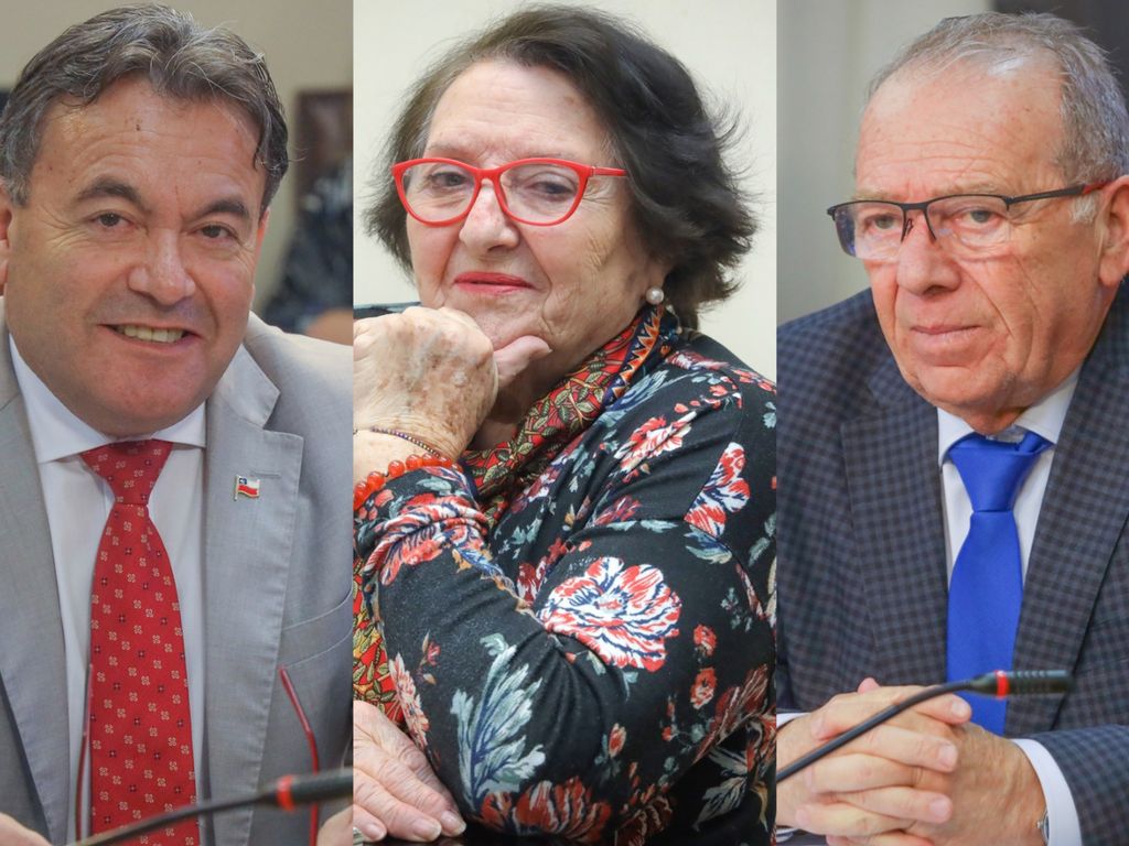 diputadosrnboric diputadosrnboric