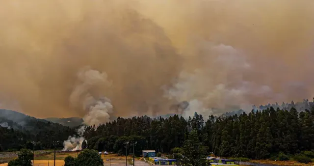 incendio-forestales-biobio incendio-forestales-biobio