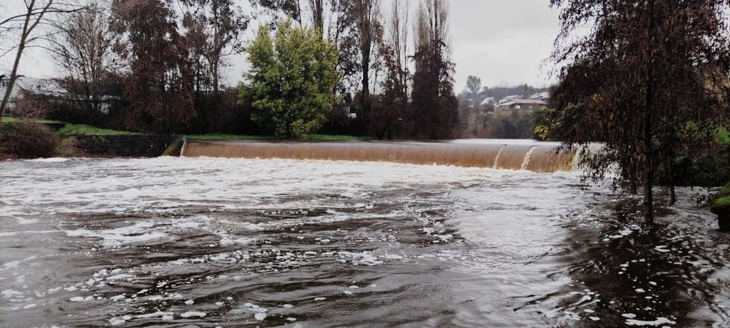 Imagen de WhatsApp 2025-07-31 a las 14 Imagen de WhatsApp 2025-07-31 a las 14