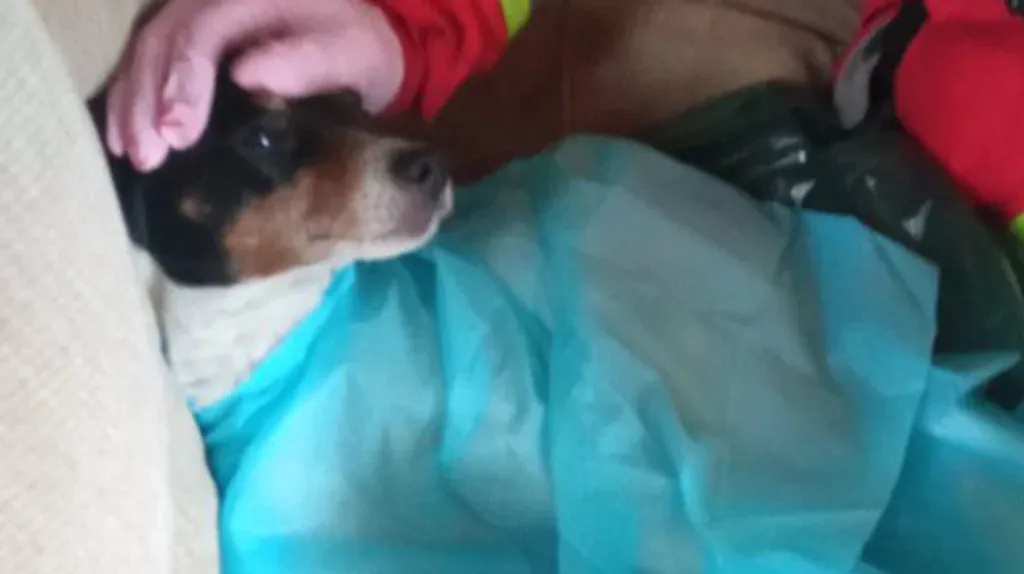 file_20240522083937 file_20240522083937