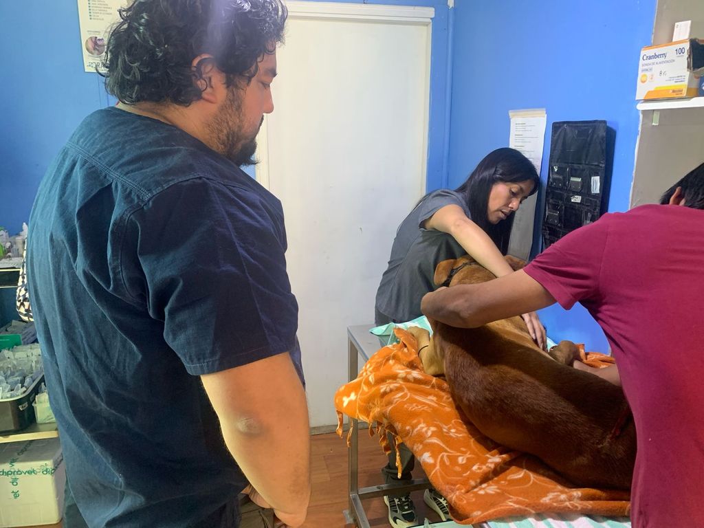 6d0ada0e-315f-4d4c-82a7-3e7a4a6b1cad 6d0ada0e-315f-4d4c-82a7-3e7a4a6b1cad