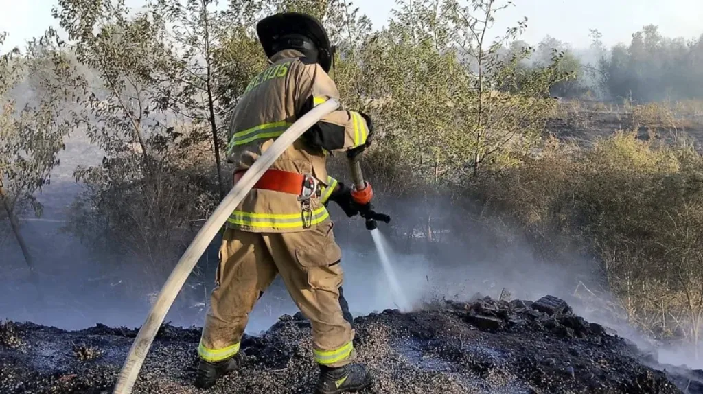 file_20260113014501 file_20260113014501