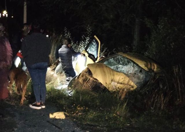 file_20260215165204 file_20260215165204