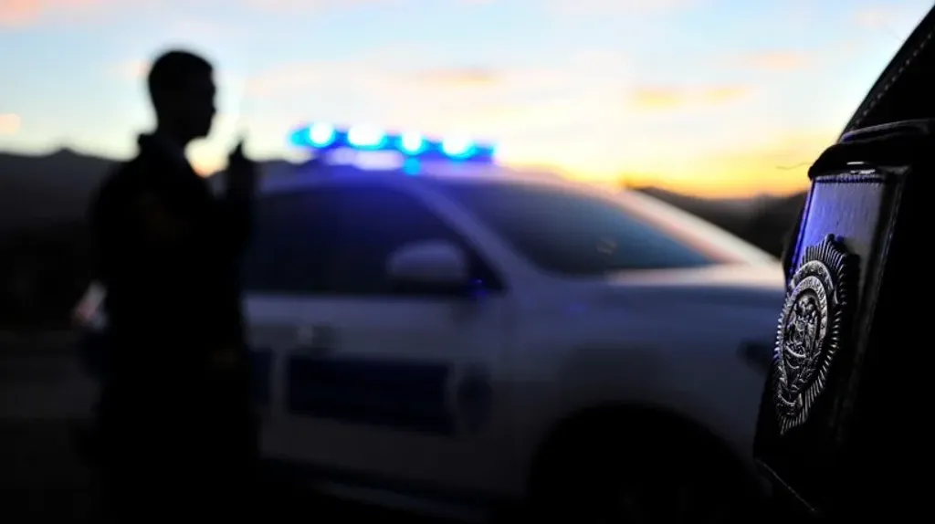 file_20241119075908 file_20241119075908