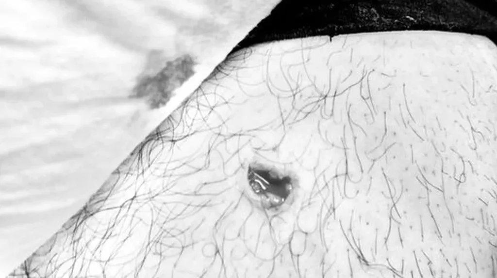 file_20241201122314 file_20241201122314