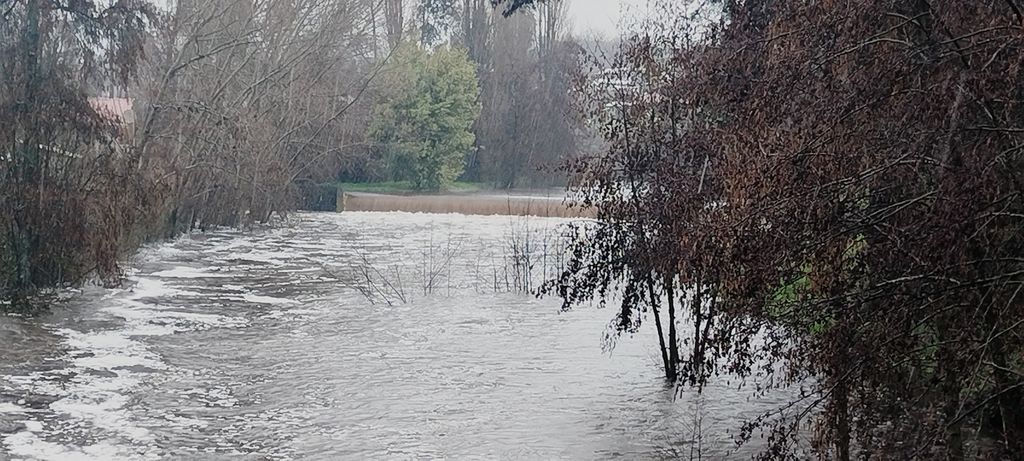 Imagen de WhatsApp 2025-08-01 a las 16 Imagen de WhatsApp 2025-08-01 a las 16