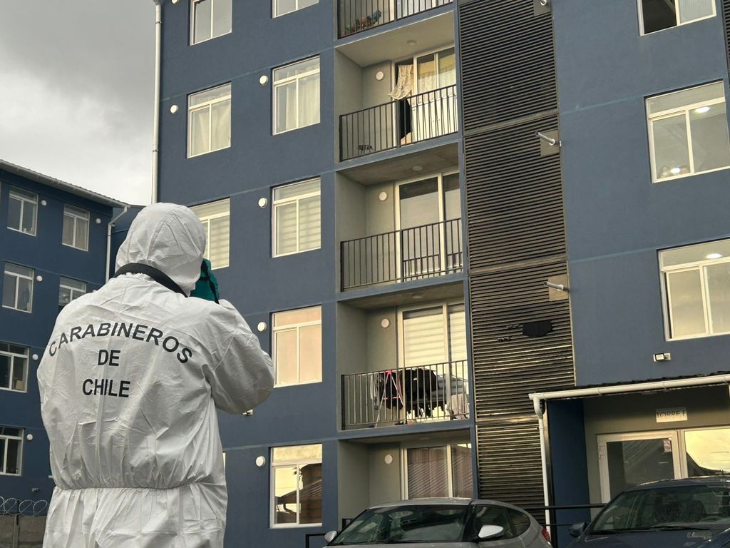 WhatsApp Image 2026-03-08 at 23 WhatsApp Image 2026-03-08 at 23