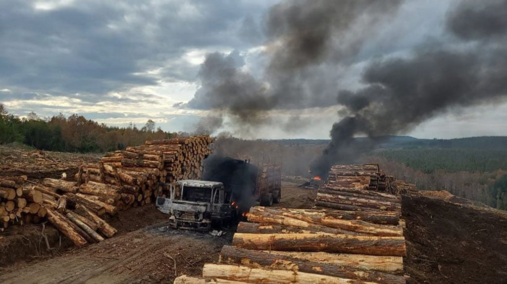 file_20240528095057 file_20240528095057