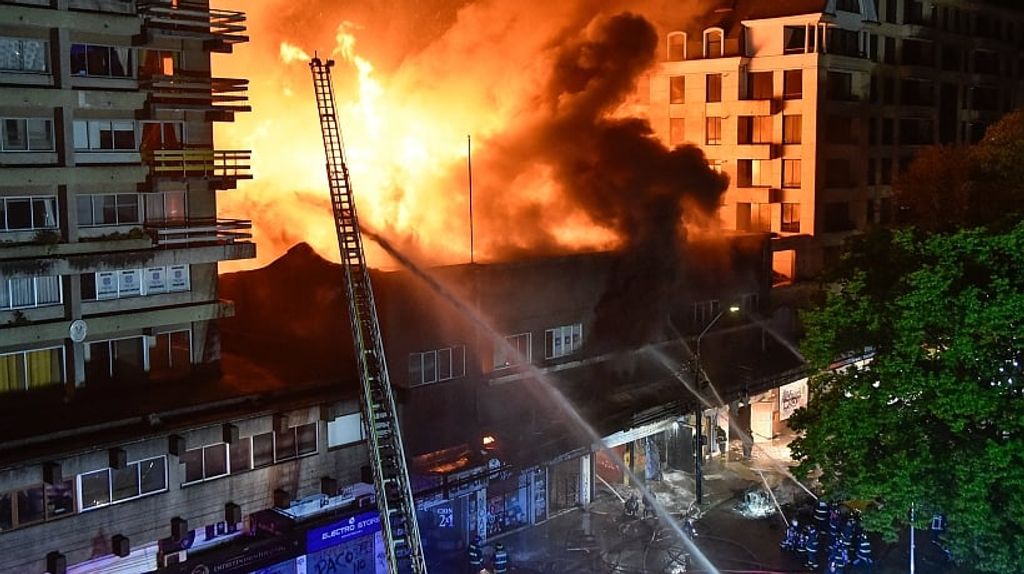 file_20241020125229 file_20241020125229