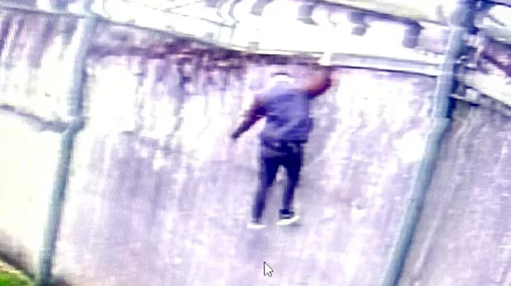 file_20241113101338 file_20241113101338