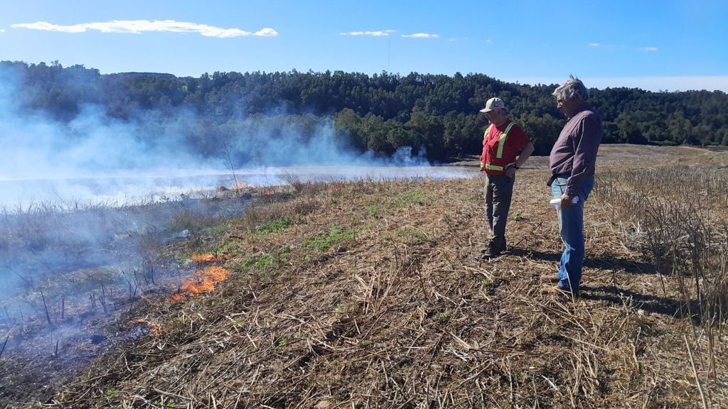 28-11-2024-3 28-11-2024-3