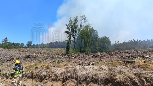 WhatsApp Image 2026-01-03 at 15