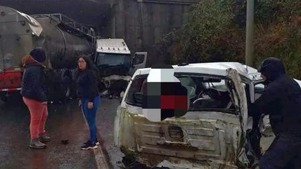 file_20240504140015 file_20240504140015