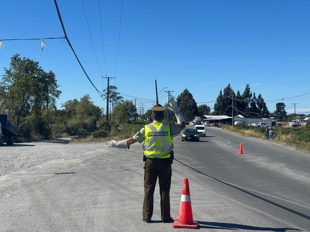 WhatsApp Image 2026-01-08 at 18 WhatsApp Image 2026-01-08 at 18