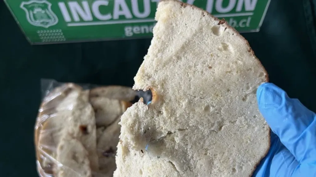 file_20240820100755 file_20240820100755