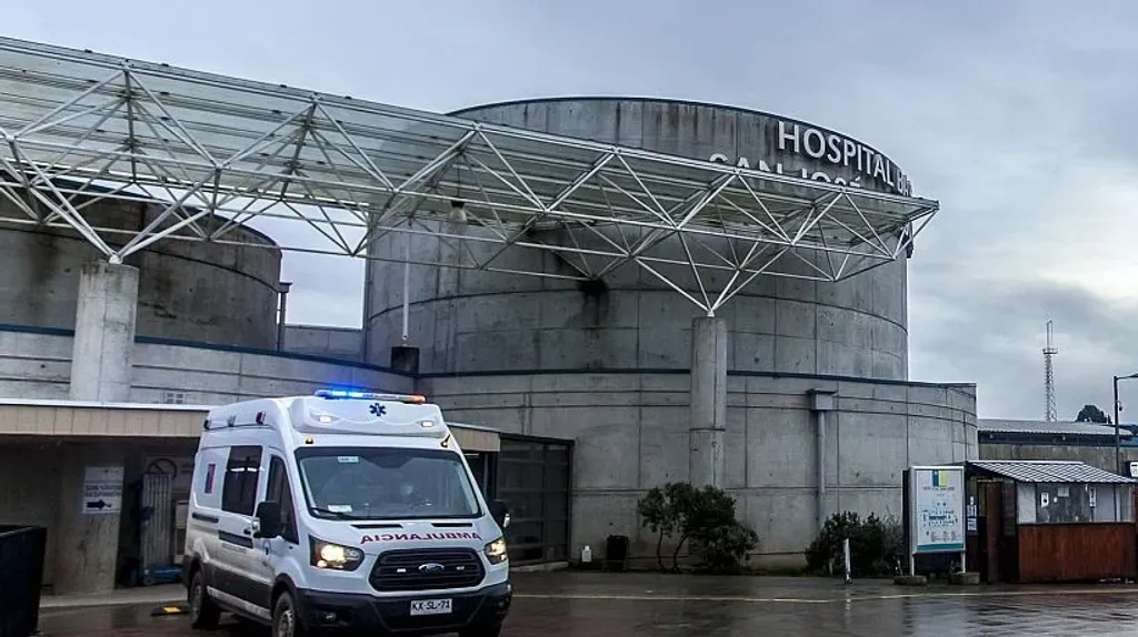 file_20260213092910 file_20260213092910