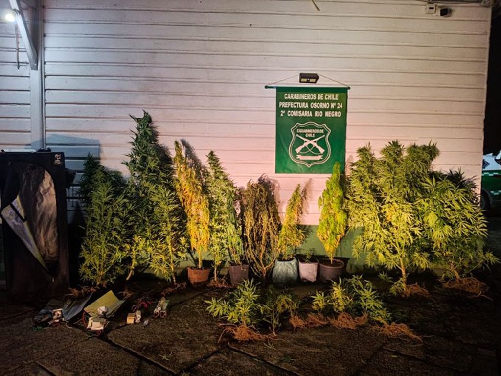 WhatsApp Image 2026-04-09 at 10 WhatsApp Image 2026-04-09 at 10