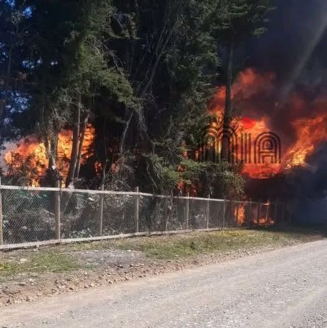 637516792_1361956275943582_1241435279728322554_n