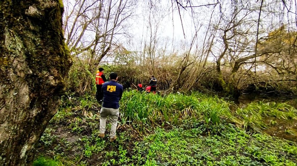 file_20240910164908 file_20240910164908