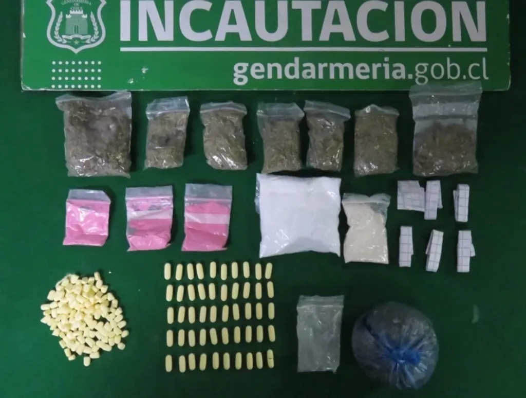 file_20250111141921 file_20250111141921